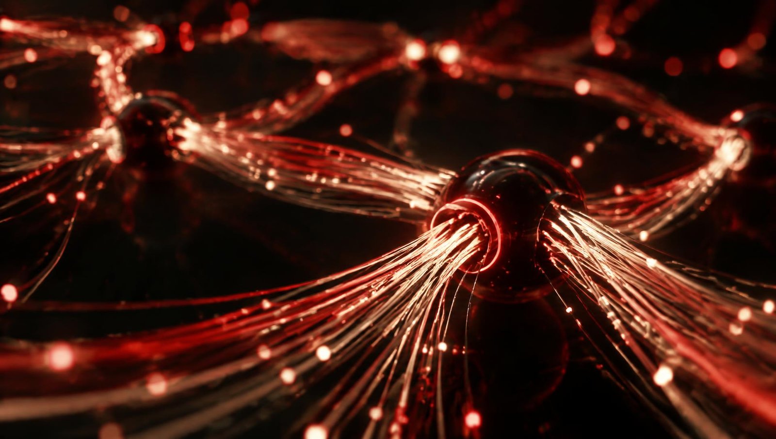 Custom Software — Sophisticated interconnected software system visual